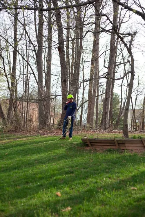 I’m so grateful for United Tree Service! We had a tree come down in our backyard, and they came out same day for a quote,