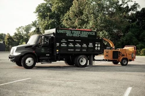 I can’t speak highly enough about the quality of work, clear communication, and friendliness of the United Tree Service