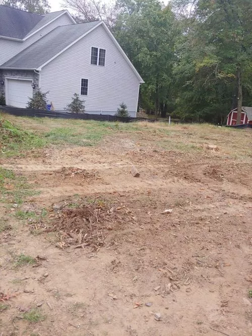 We had a number of trees and bushes removed from our yard, and the stumps ground. Marco and his crew did a fantastic job