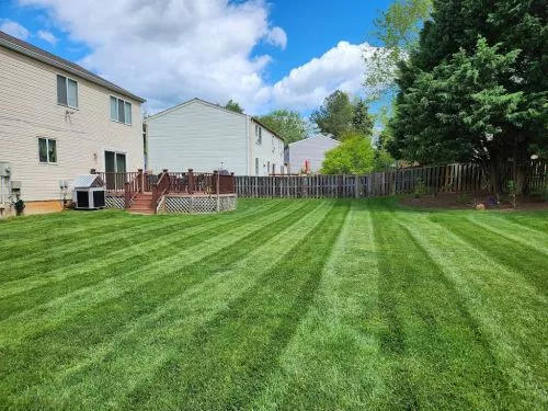 Brad and crew are very reliable, efficient, and friendly, and ensure our lawn is cut and trimmed every week