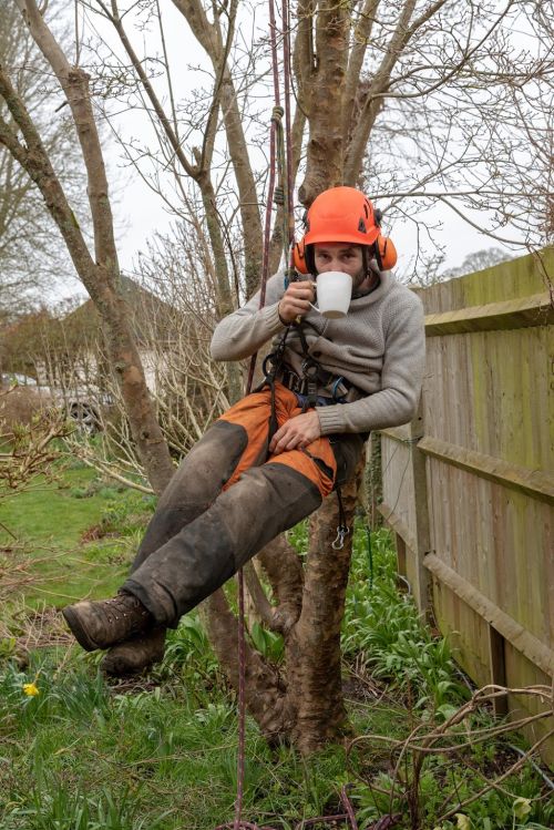  alt='We have used Nationwide Tree Service on several occasions and have always had the best experience'