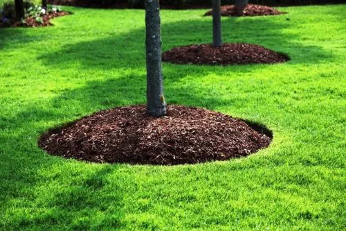 I recently used Rivera Landscaping for a fairly big project at my house, and I could not be happier with their work. Mr