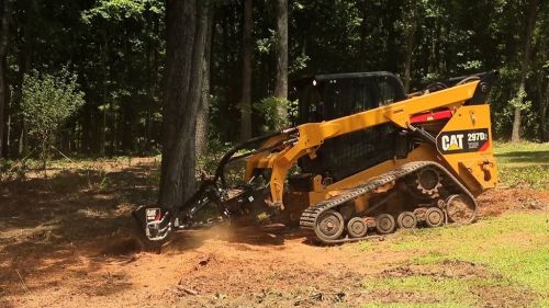  alt='Leveled, seeded and strawed an area 200 feet long x 16 feet wide where 25 Leyland cypress trees had been removed last year'