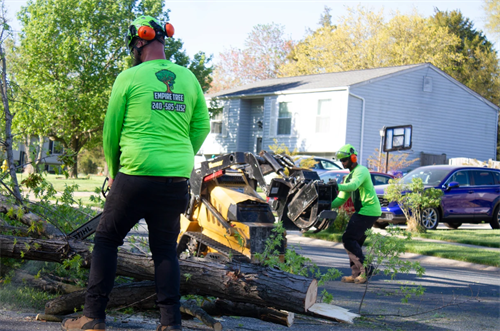  alt='Rodney and his team at Empire Tree handled a tree removal service at my home in Hughesville'