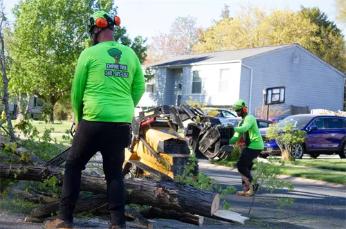 Rodney and his team at Empire Tree handled a tree removal service at my home in Hughesville