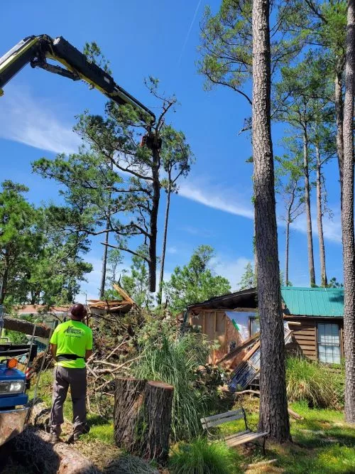 Wow. The best experience I have ever had with any tree service company. During the storms a large tree fell on my house