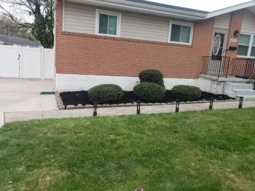This company showed nothing but professionalism and accuracy pertaining to my yard