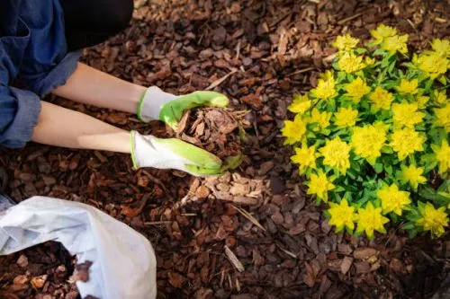 Sustainable, responsive, courteous. They have performed generl landscaping including curb appeal for homes preparing to hit