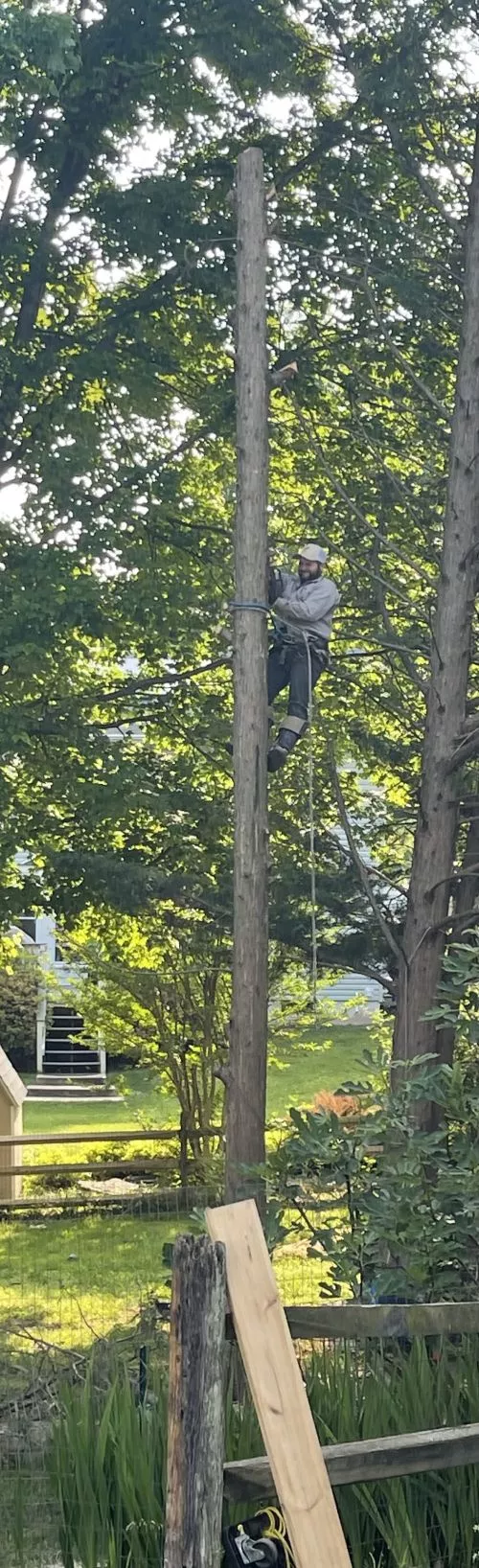 I wanted to take a few moments and provide my thanks and gratitude to Lee’s Tree Service for the service they provided to