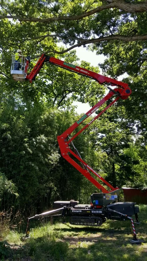 We recently used Baker Tree Services for a tree removal subcontracting portion of a larger landscaping project we"re