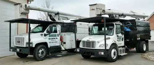 This was not their first rodeo!  This crew that works for Baker Tree we’re very professional, they definitely knew what