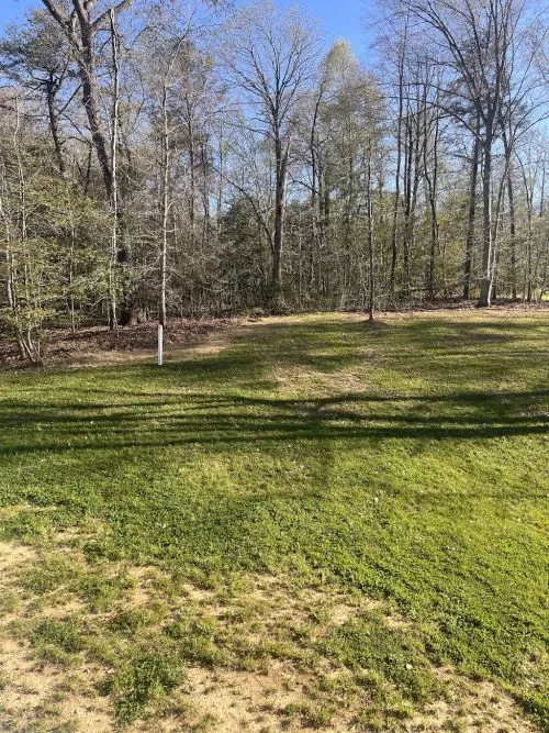 C&B did a great job of clearing some small pine clusters and lots of fallen dead trees. Our yard has much more usable space