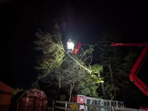 Justin and his team just finished removing a tree that was downed in the 7/15 storm