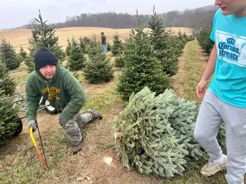 Our very favorite place to buy a tree. Always a great selection and the family that owns the farm is so nice. 