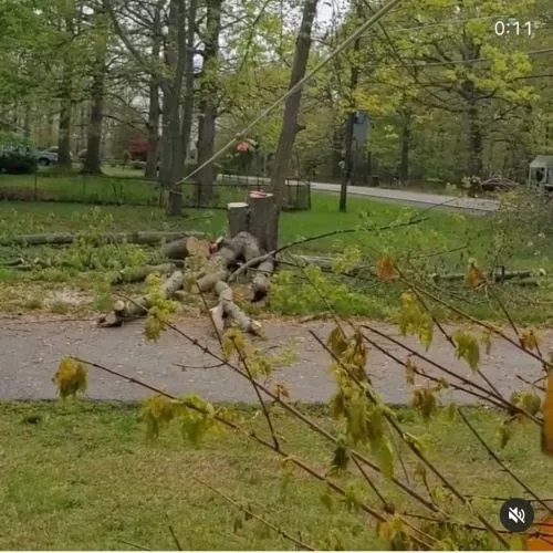 I hired Southern Maryland Tree Service to take down some unwanted trees in my backyard, so we could proceed with obtaining