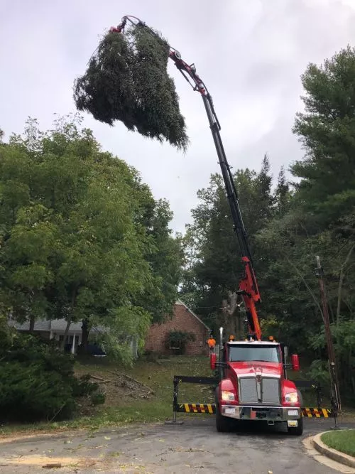 Got to Screened the 7 cubic yards of "Screened Top Soil" I purchased