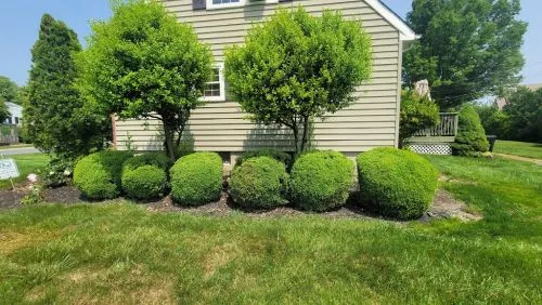 I was told by my homeowners insurance company that I had to have a large portion of some tree tops removed that were