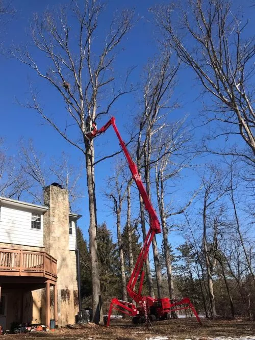 Floyd’s Tree Service far exceeded our expectations, again. The crew is professional, friendly, knowledgeable, and extremely