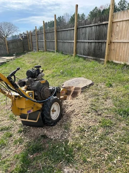 Great Service. Made sure stump area was completely grinded out and cleaned up when finished. 