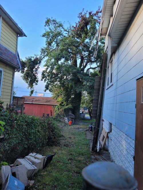  alt='We had seven trees removed and stump grinded, approx. 50- 60 feet tall. I would highly recommend Allen & Sons Tree Service'