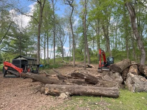 I recently had the pleasure of working with Dundee Farm, owned and operated by Evan, for reclaiming an overgrown wooded