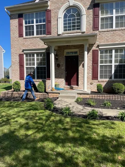 Jefferson and his crew did an amazing job cleaning up my gardens, planting, mulching, and trimming my trees