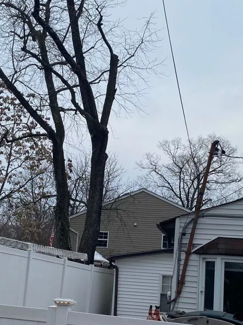 The Tree People did an amazing job today on our property today. They trimmed back lots of trees that were growing too close