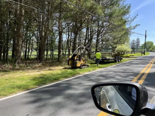 Great company and people who care about trees and their customers