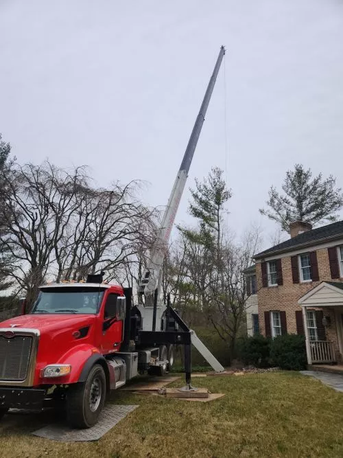 We had a great experience with Centurion Tree Experts cutting down 7 large trees all within striking distance of the house