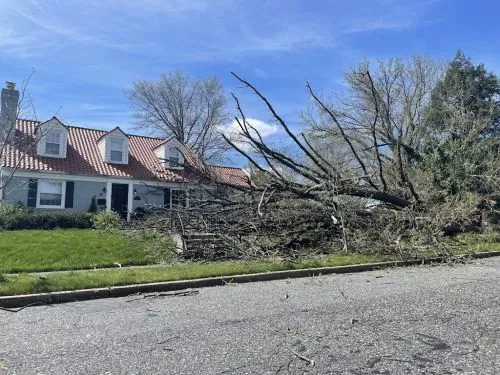 Ameritree just completed a very complicated tree removal project at our residence