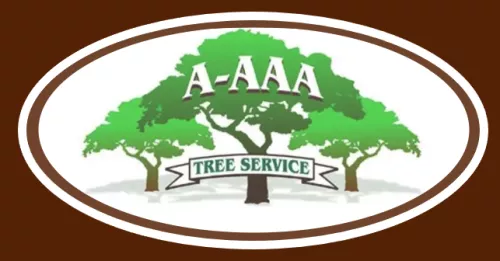 This was not the first time we hired A-AAA Tree Services, and it probably won’t be the last