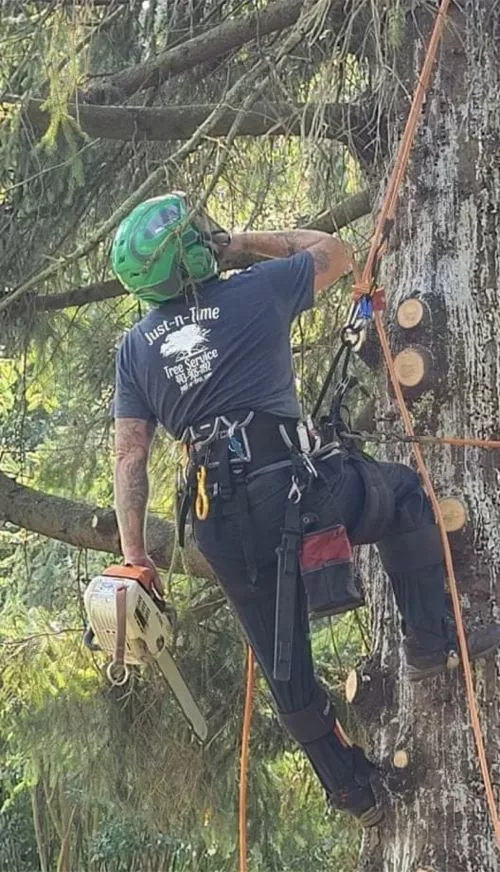 Justin completed tree removal for my 64 year old mother and did a great job on the original scope of work