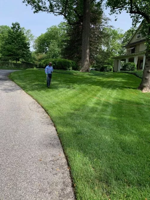 So glad I went with American Lawn and Tree Specialists for my lawn care! Friendly technicians and professional service!