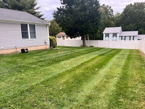 Matt did an amazing job and completely transformed how our yard looked