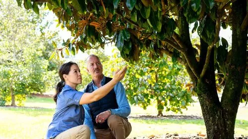 I"ve lived in the woods for 30 years and used a number of different people to help with tree maintenance