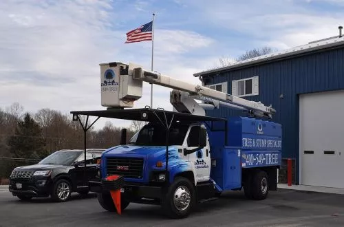 These guys do serious precision tree removal. It was a pleasure watching them work