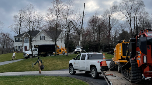  alt='Josh and his crew are EXCELLENT. They did a great job removing one of my large maple trees, removing a bunch of hedges, and'