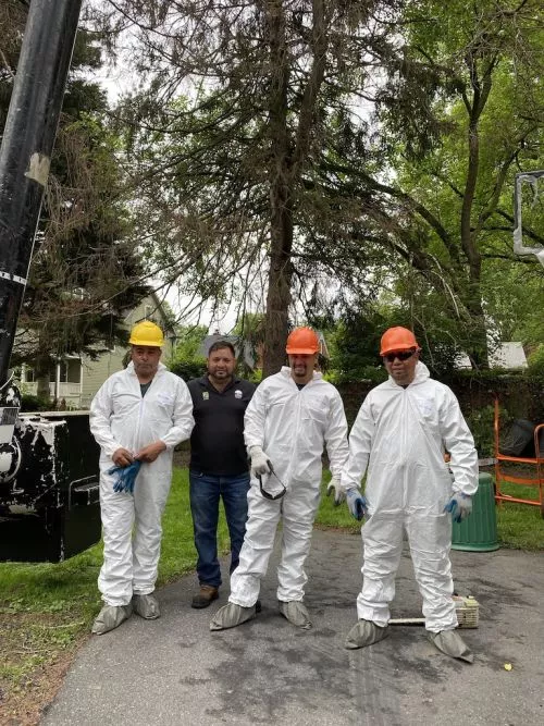 Mulheron came to my house to remove a dying cherry tree. They were professional and courteous, getting the job done quickly