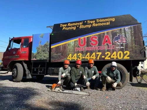 This is the 3rd time I have used USA Tree Service. Each time they come to my house they impress me