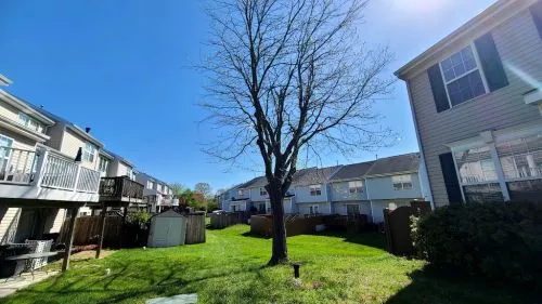 I just had USA tree service chop down a large bradford tree & grind out the stump, also trim 2 other trees