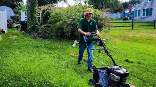 Ashton does an amazing job and is very reliable. This is the second year he has been cutting and weeding my lawn