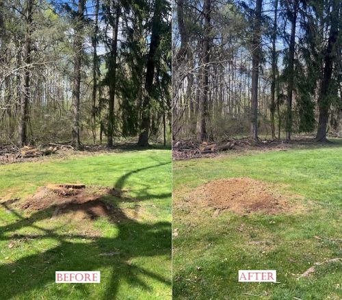  alt='Rise and grind stump removal got my yard and trees all cleaned up! Fair price great work and good to deal with'