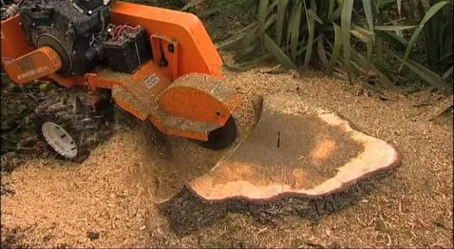 I highly recommend Rise N Grind Stump Removal. Professional , efficient, and left my yard spotless after removing a stump. 