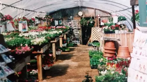 Every trip to Greenfield nursery is an adventure, and the cool thing about this adventure is that there"s always a guide to