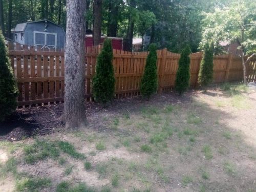  alt='The crew did a great job clearing weeds and vines growing around my patio and under the deck'