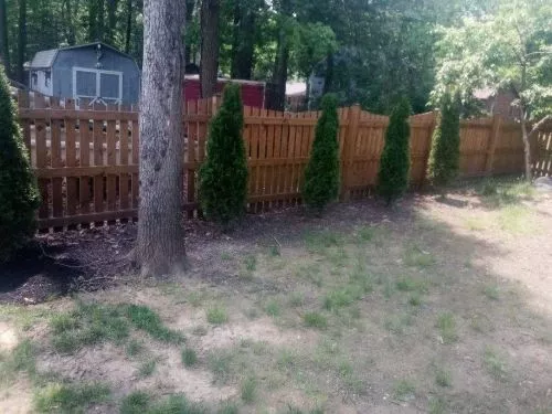 Team does a great job with my yard. The online auto pay makes it so easy