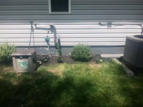 The crew did a great job clearing weeds and vines growing around my patio and under the deck