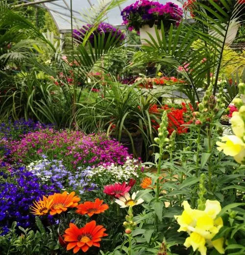 Decided to walk into the nursery today and met the most wonderful and caring people