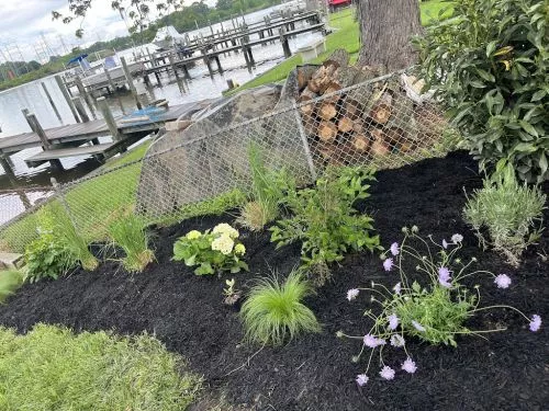 WE LOVE HIMMEL’S! We got all of our hydrangeas, lilac and perennials from Himmel’s along with bulk compost and mulch