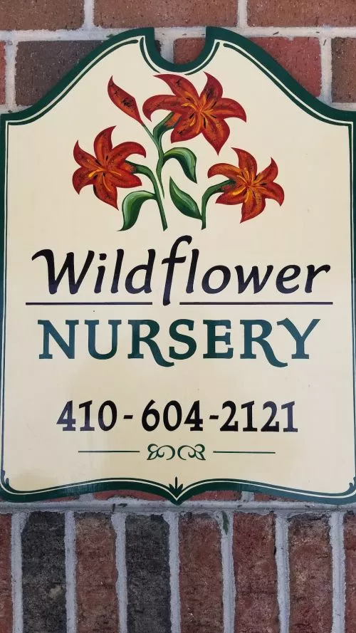 I always buy my mulch from Wildflower Nursery-they have the best mulch in the area